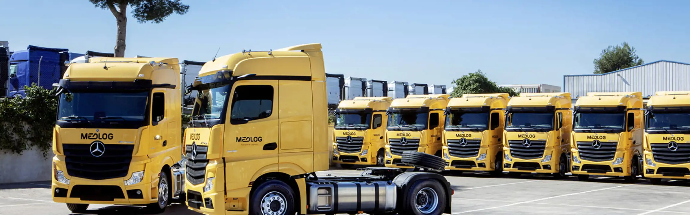About medlog saudi arabia